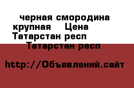 черная смородина крупная  › Цена ­ 150 - Татарстан респ.  »    . Татарстан респ.